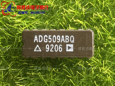 ADG509ABQ进口现货，模拟多路复用器 批量供应