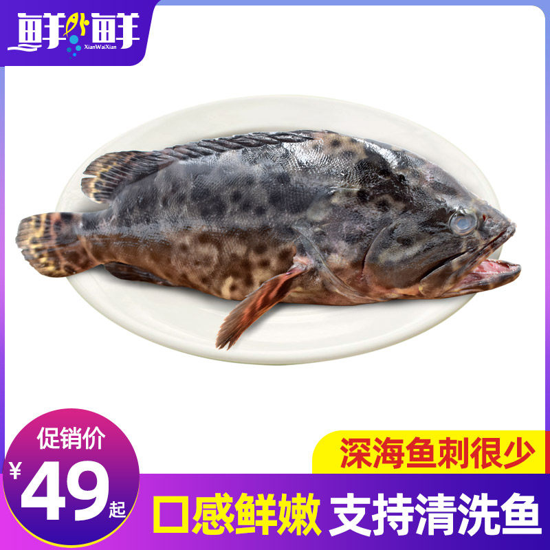 舟山新鲜老虎斑 400g海捕石斑鱼东海捕捞冰鲜海鲜水产宁波黑石斑