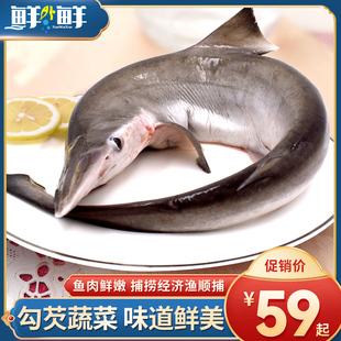 尖头鲨深海鱼非白鲨鱼肉新鲜冷冻海鲜水产整条装 东海顺捕小鲨鱼