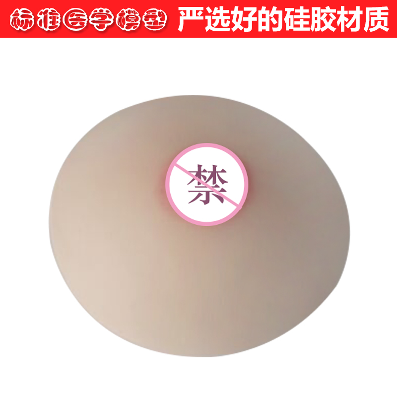 催乳师培训医学用软硅胶假乳房家政技校医院示范教学乳房模型教具