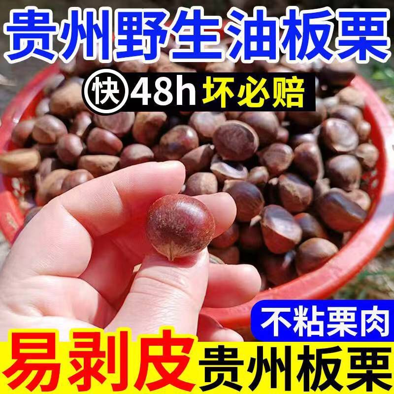 【油栗5斤】贵州高山野生小板栗毛栗子小油栗新鲜粉糯香甜口感好