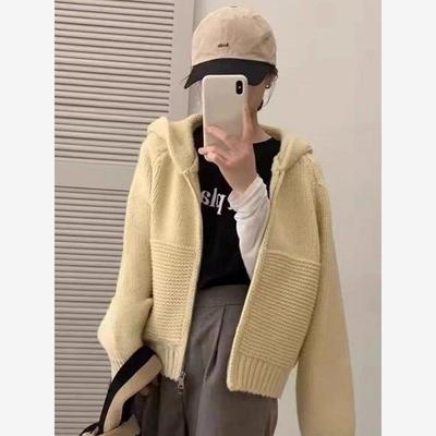 尤登崔韩系简约拉链针织