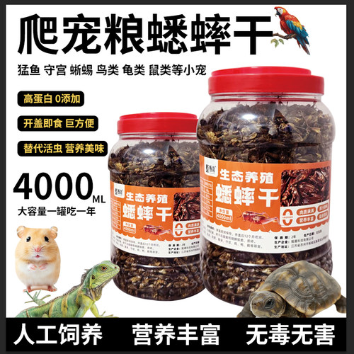 仓鼠零食面包虫干黄粉虫零食饲料