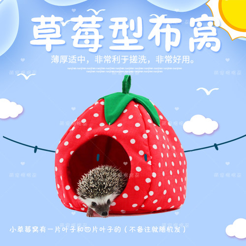 非洲迷你刺猬棉窝韩国蜜袋鼯保暖