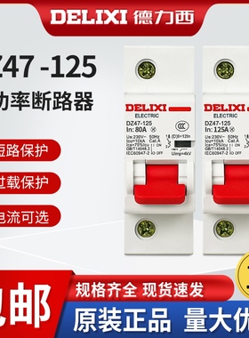 德力西断路器DZ47-1251P2P3P4P80A100125A大电流大功率短路器空气