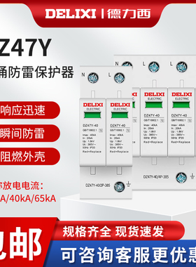 DZ47Y家用防雷20浪涌60保护器40KA电源2P防雷4模块220V电涌