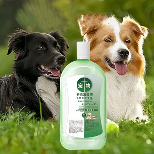 宠物滴水露消毒液家用室内洗衣杀菌衣物除菌消毒水Y03