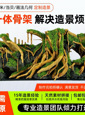 小米当贝画法几何森森LEB尼特利X45鱼缸一体造景成品骨架水草溪流