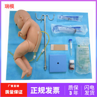 婴儿腰椎穿刺模型模拟人 医学教学用穿刺训练模型模型
