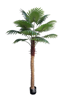 北欧仿真针葵棕榈树扇葵树植物盆栽室内客厅落地装饰假绿植天竺葵