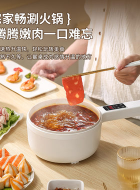电煮锅多功能家用迷你小电锅宿舍学生锅小型煎炒蒸泡面锅电热火锅