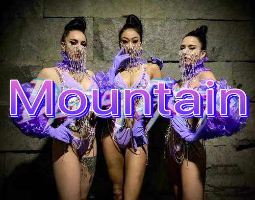 紫色花朵大手套水钻身体链高端定制多色大秀派对夜店GOGODS演出服