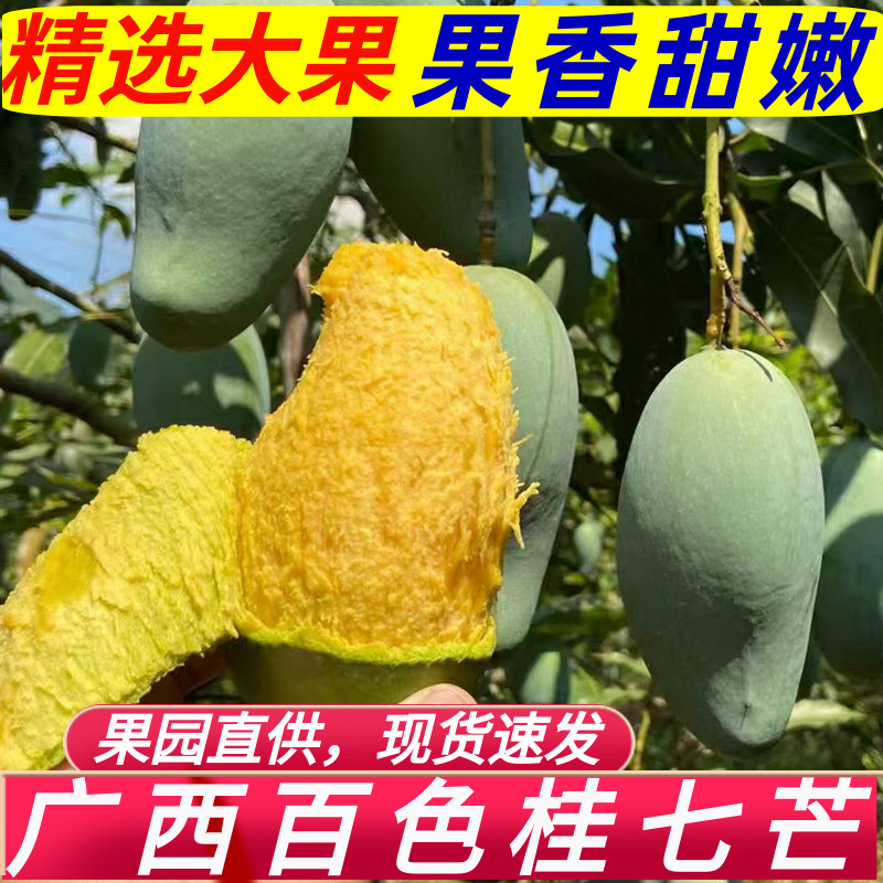 广西百色芒果桂七青皮香芒大果当季新鲜水果整箱田东特产10斤礼盒