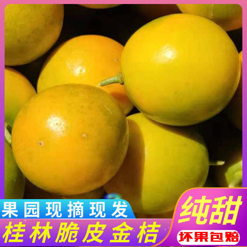 广西脆皮金桔新鲜水果正宗桂林当季纯甜小金橘脆皮金柑整箱特产,水产肉类/新鲜蔬果/熟食,桔子,淘宝优惠券,粉丝福利购,淘宝优惠卷