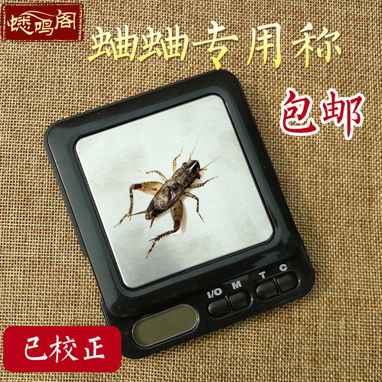 蛐蛐用品野生蟋蟀电子称已校正蓝特蟋蟀秤蛐蛐电子秤蟋蟀用具