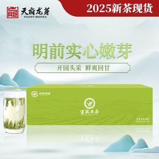 天府龙芽四川宜宾早茶绿茶礼盒装龙井雀舌高山云雾叙府2025新茶叶