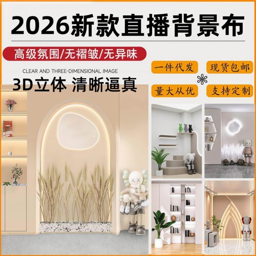 2026新款直播背景布墙贴3d立体壁