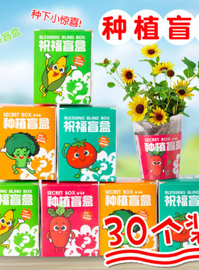 儿童DIY种植盲盒幼儿园高级感礼物一二三年级学生开学奖励小礼品