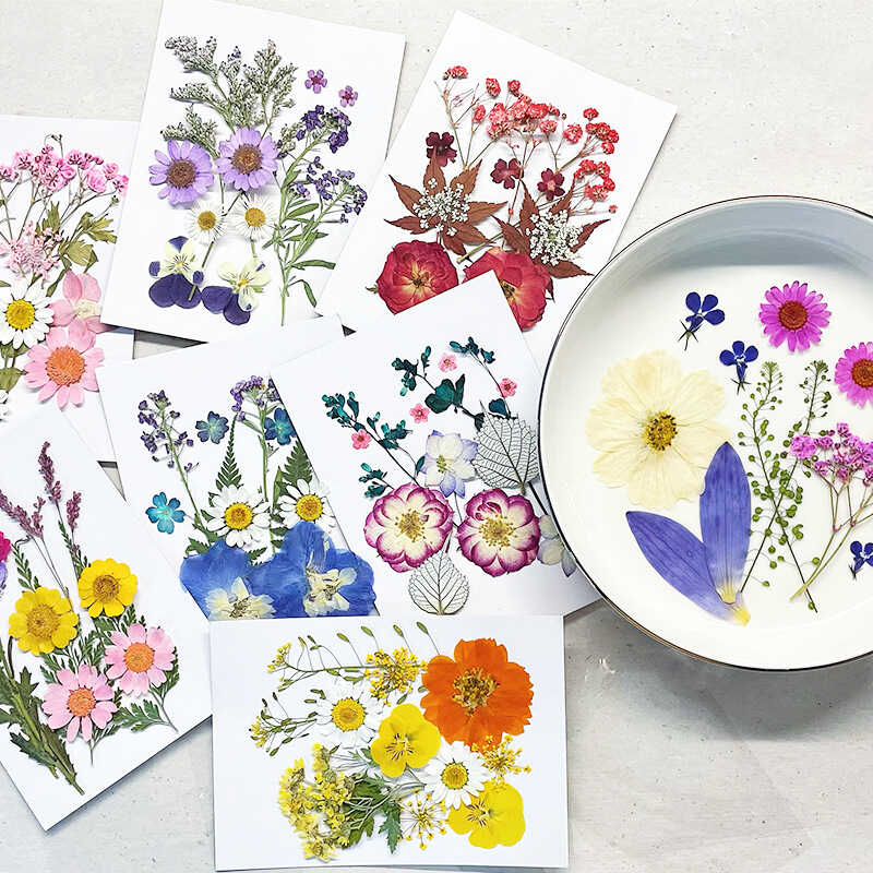 天然干花书签材料包永生花