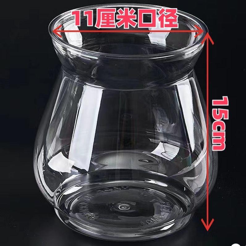 高透明塑料四季水培大蒜红薯郁金香富贵竹铜钱草客厅阳台办公器皿