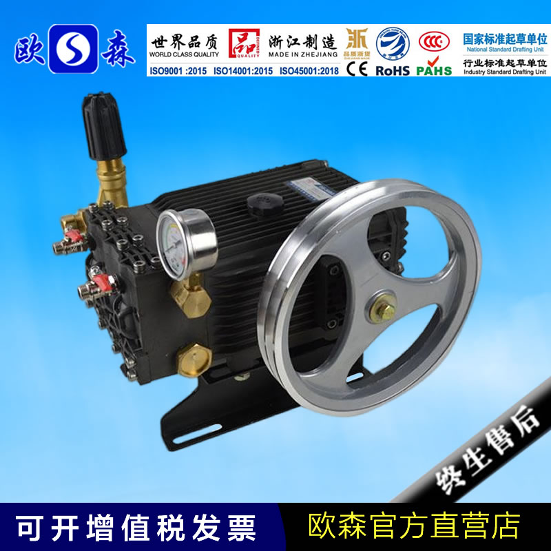 农用喷雾机打药泵 高压泵园林喷雾器压力泵 打药洗车清洗机两用泵