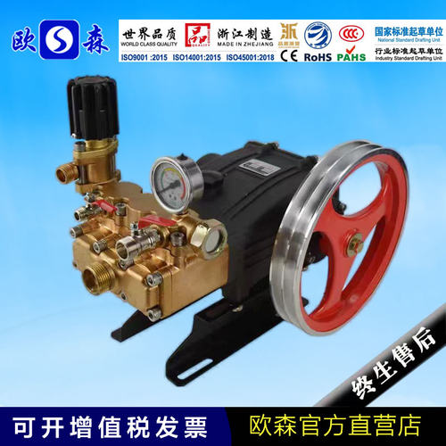 欧森柱塞泵高压力欧森高压泵泵