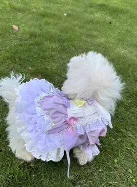 狗狗猫咪宠物衣服春夏秋冬泰迪贵宾约克夏二脚连衣裙手工制作定制