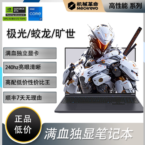 机械革命极光X/蛟龙/旷世笔记本