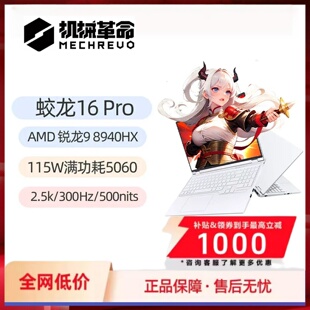 MECHREVO/机械革命 蛟龙16pro 蛟龙16proR9-8945HX/5060