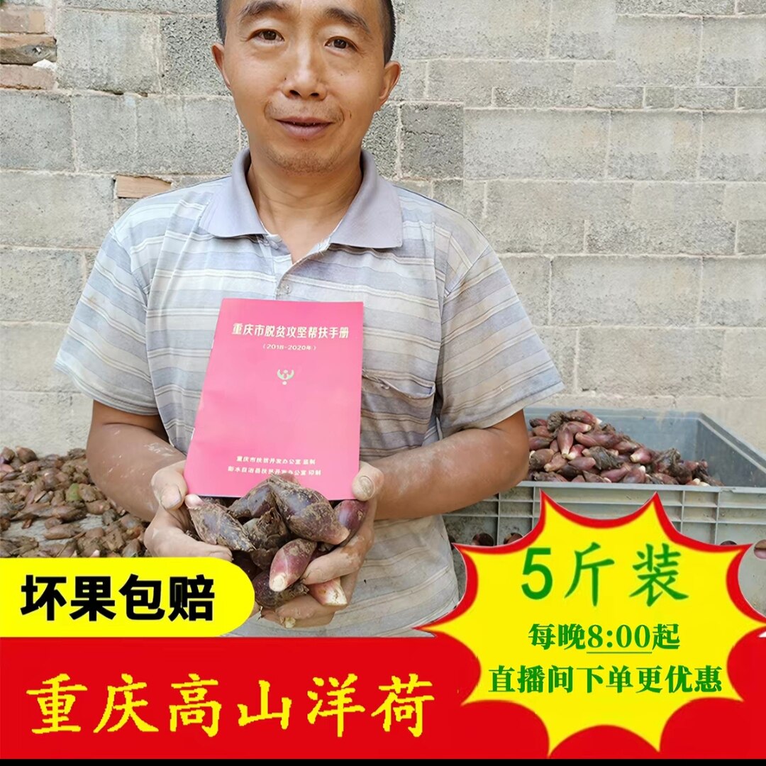 重庆彭水高山洋荷阳藿姜5斤包邮