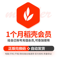 稻壳会员短期1个月卡会元秀堂wps1