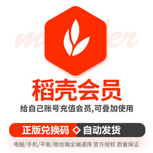 稻壳会员卡会元秀堂wps稻壳儿ppt1