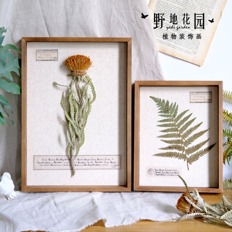 复古植物标本装饰画现代样板间书房干花相框树叶果实摆件家居软装图片