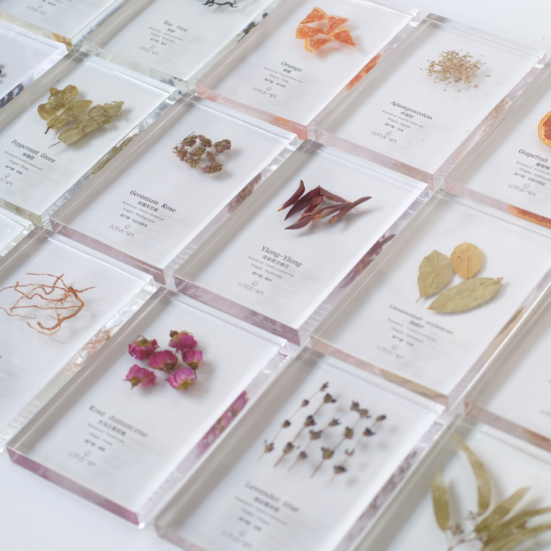 精油树脂植物标本香薰精油标本