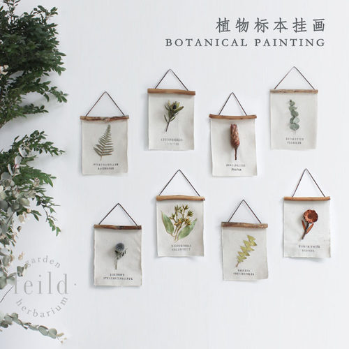 ins照片墙田园简约风格植物标本
