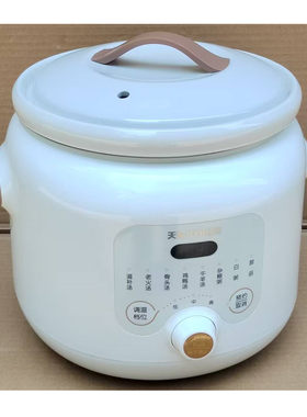 天际电炖锅煲滋补老火鸡鸭骨头汤