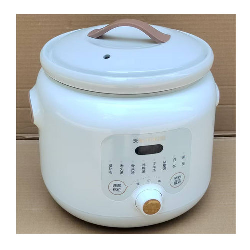 天际电炖锅煲滋补老火鸡鸭骨头汤