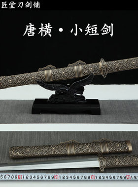 新疆包邮全长52cm短剑龙