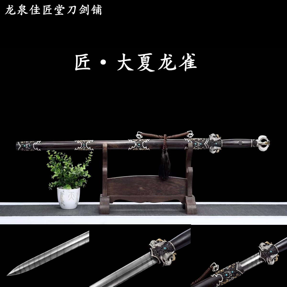 新疆包邮大夏龙雀唐剑龙