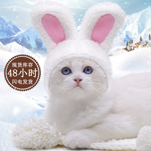 Pet Hat Cute Warm Comfortable Cotton Velvet Small hat