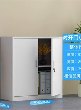 乌鲁木齐中二斗 器械柜文件柜柜档案柜书橱资料柜送货上门铁皮柜