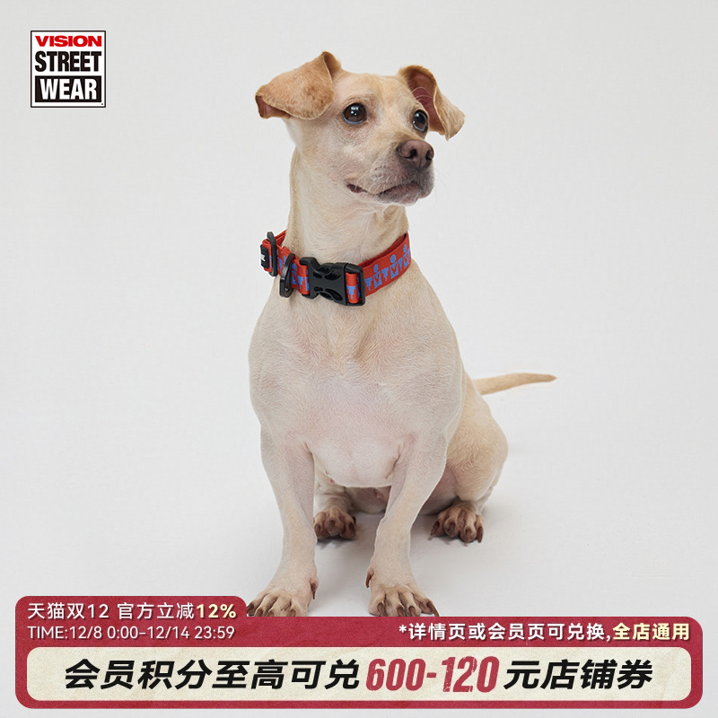 VISIONSTREETWEARVISION