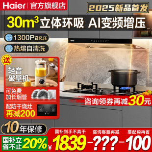 海尔抽油烟机家用厨房大吸力吸油烟机抽烟机吸油机以旧换新T30