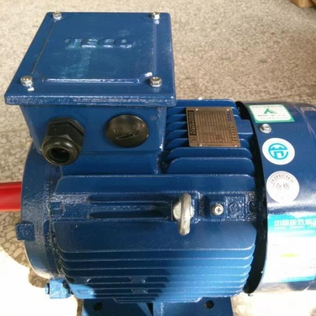 厂家直发超高效率电机TEV2 112M-2  4KW 4P AEEVF2卧式