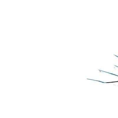 工厂直销美国IDEX集团气动泵S15标准球阀金属泵