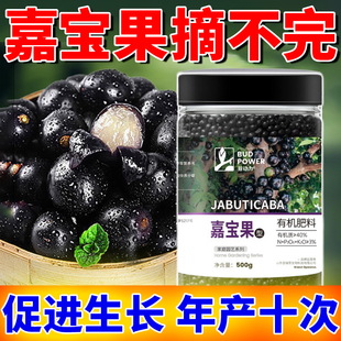 嘉宝果专用肥料促花促果增产增甜树葡萄珍宝果有机复合营养缓释肥