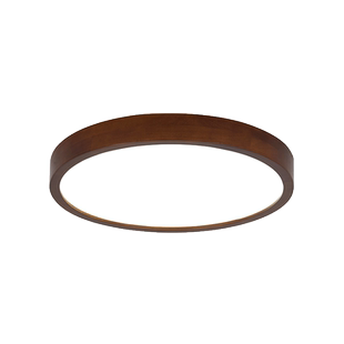 胡桃木LED吸顶灯新中式客厅主卧室餐厅房间阳台2025新款实木灯具