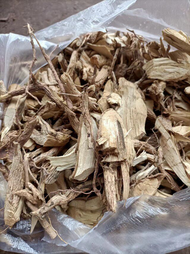 四川深山野花椒根花椒树根狗屎椒根野花椒中药材山花椒根新鲜现挖