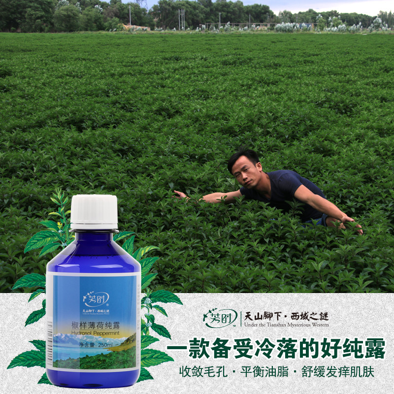 天然正品椒样薄荷纯露蒸馏水花水喷雾清爽控油补水爽肤水500ml