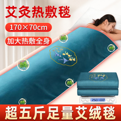 艾灸热敷毯全身通用艾绒理疗包加热床垫艾草电热毯正品官方旗舰店